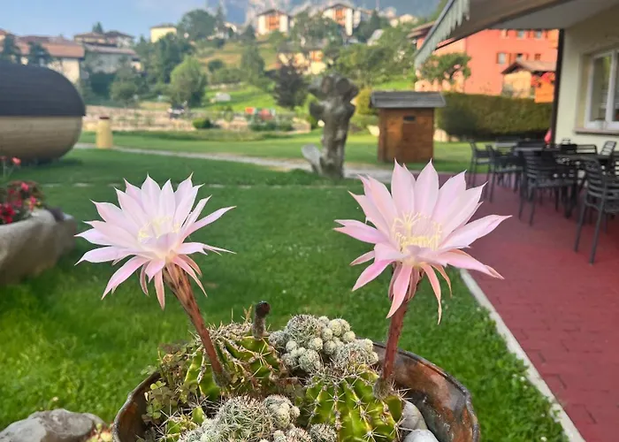 Hotel Garni Relax