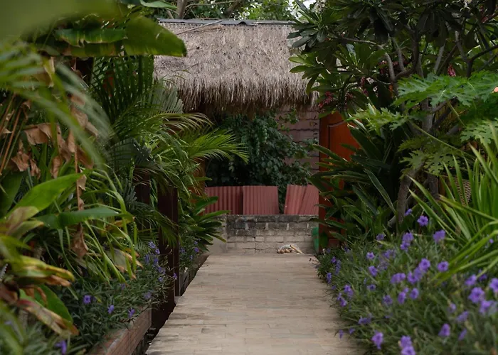 Voodoo Gili