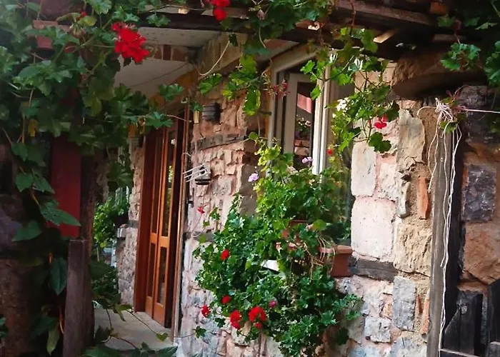 Rosa B&B