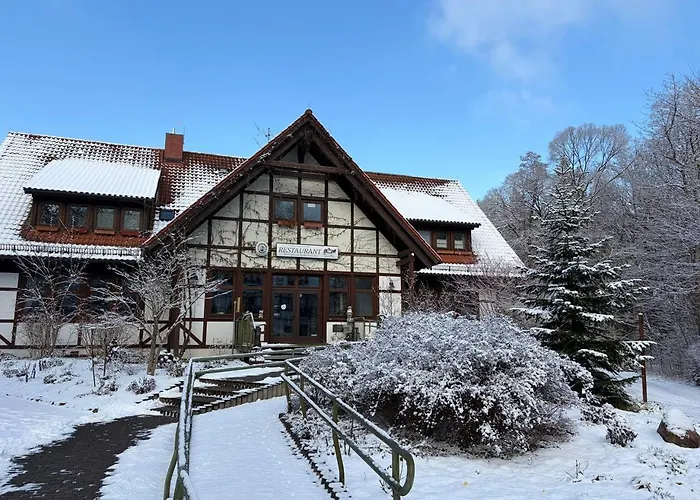 Neue Mühle Hotel&Restaurant