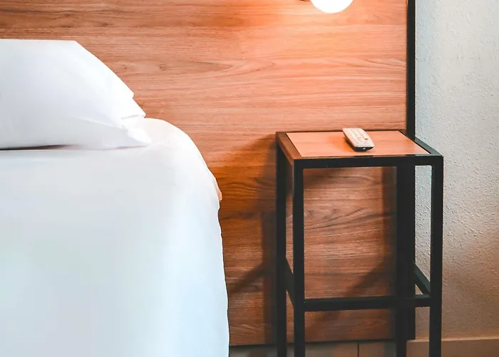 Ibis Mendoza