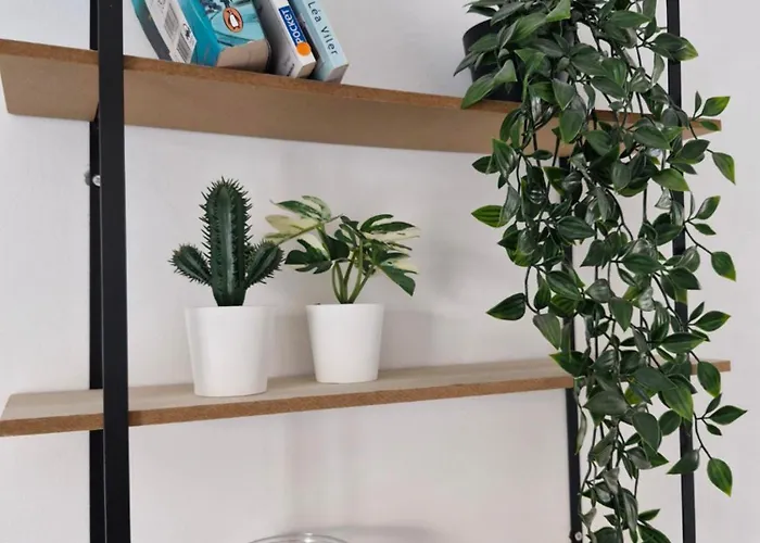 Appartement à 100 m de la mer !