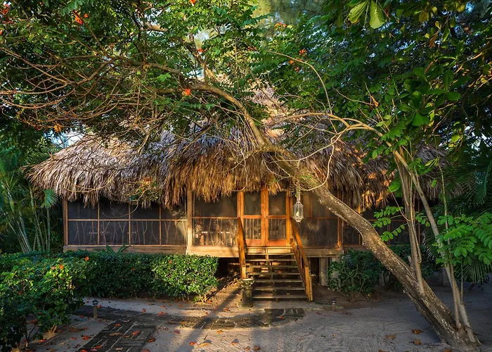 Turtle Inn By Francis Ford Coppola
