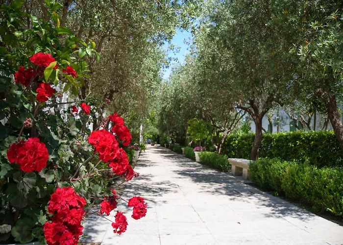 Borgo Primizia