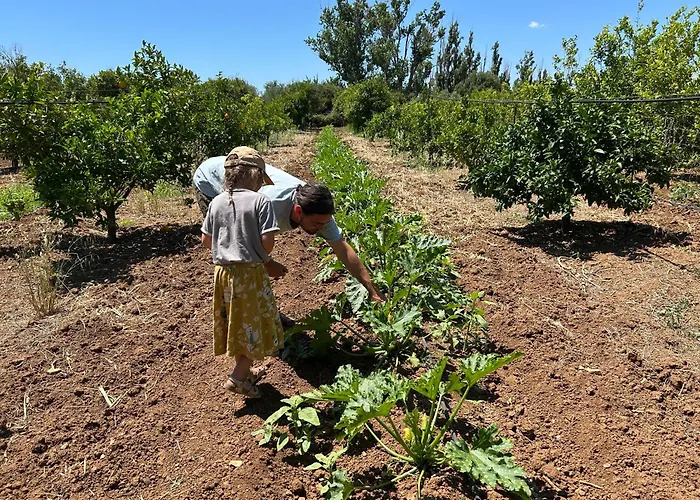 Azienda Agrituristica Il Pago