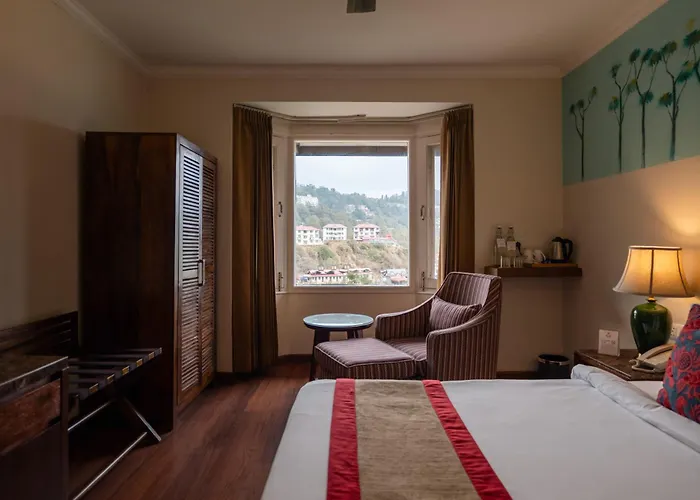 8Fold By Larisa, Shimla