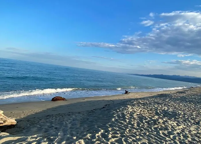 Les pieds dans l eau de Betty Ghisonaccia plage 50 m