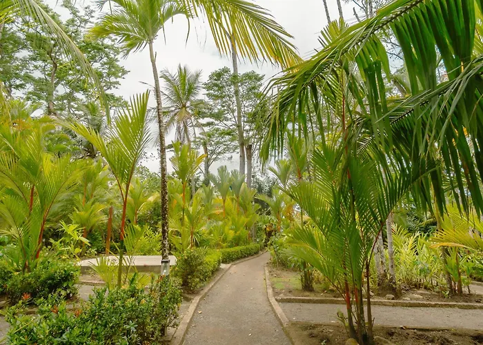 Bungalows Punta Uva