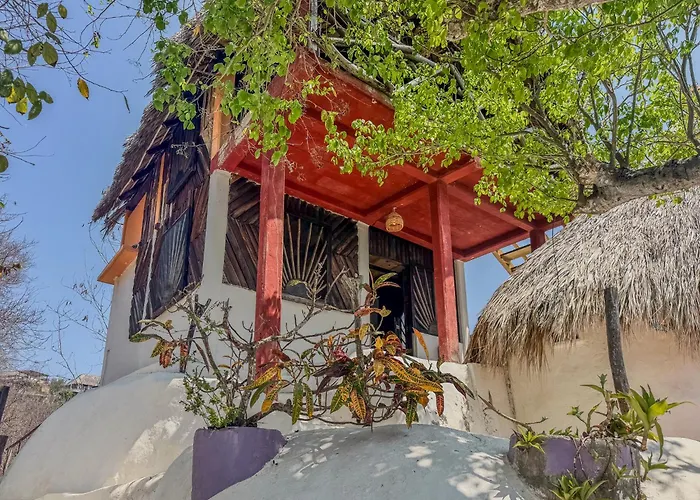 Shambhala Visión