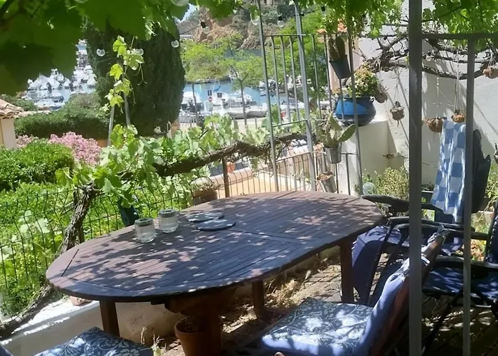 Votre terrasse vue mer sous la vigne, un havre de paix
