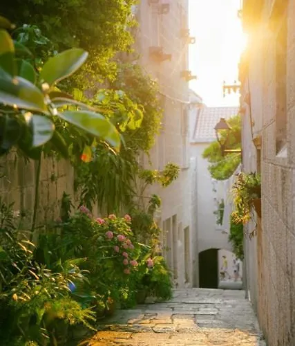 Apartments Milion