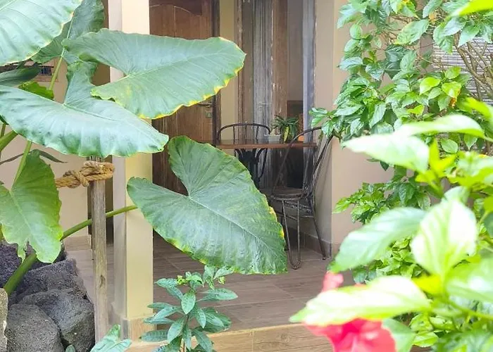 Little Elephant Cottage