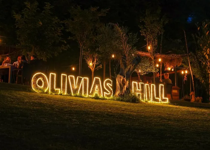 Padel Olivia'S Hill Resort