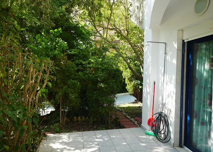 Sofia'S House