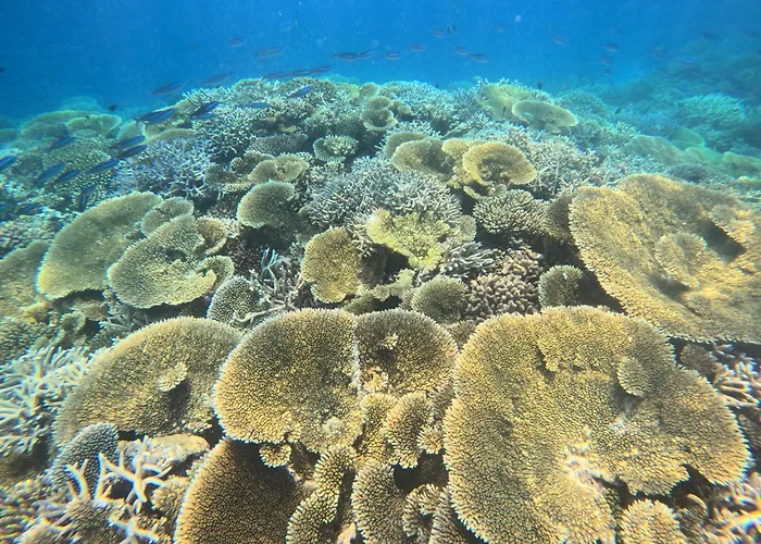 Raalhu Fonu Maldives