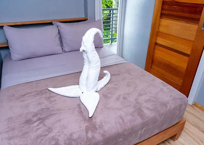 Silver Reef Dive Resort