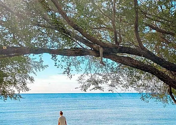 Wilson'S Retreat