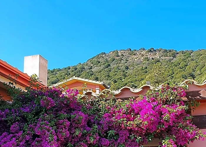 B&B La Vela Chia