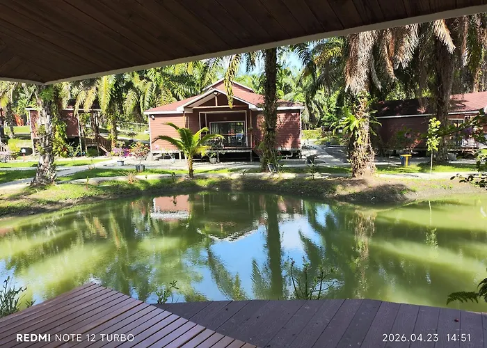 仙本那棕榈湖度假村palm Lake Resort