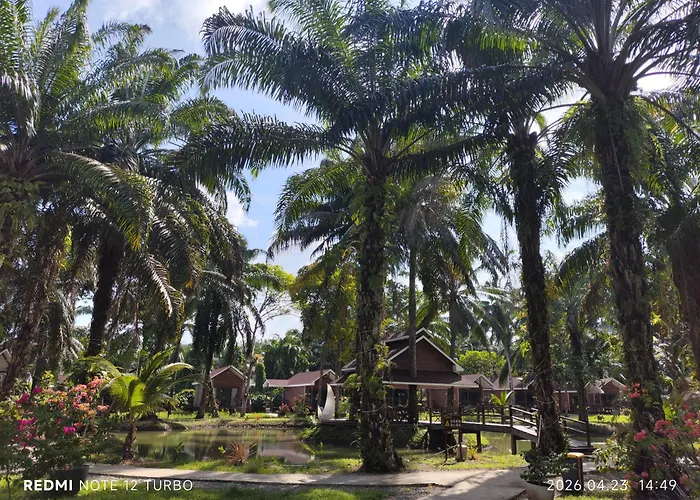 仙本那棕榈湖度假村palm Lake Resort