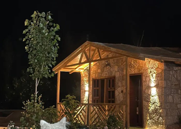 Trivor Resort