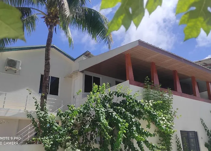 Velaaolhu - Turtle Hive Thulusdhoo