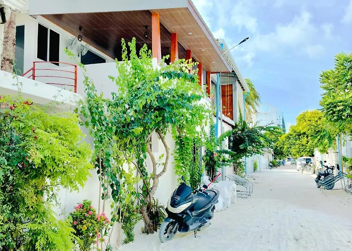 Velaaolhu - Turtle Hive Thulusdhoo