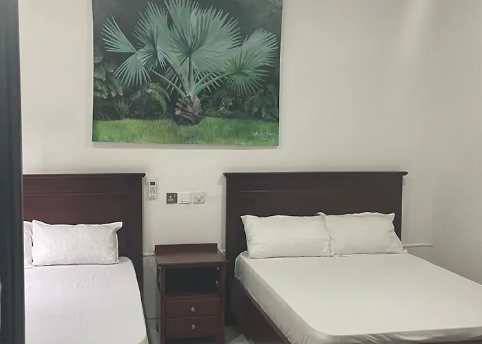 Da Palm Boutique Resort