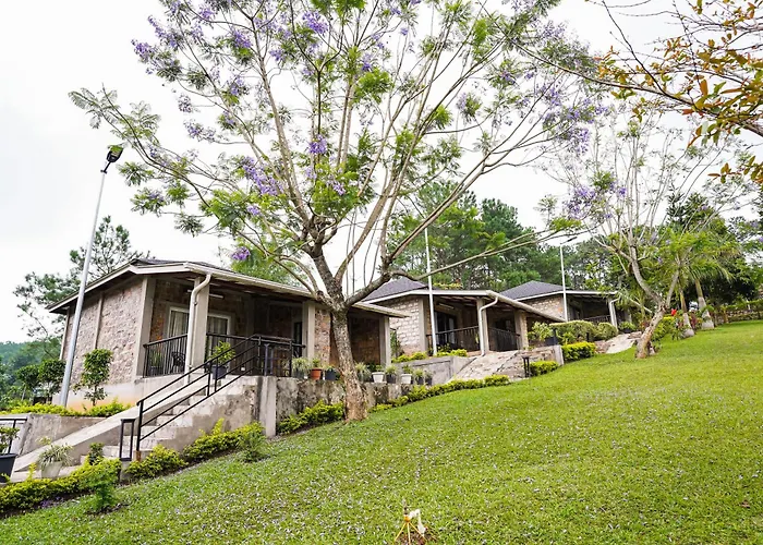 Nohsngithiang Estate