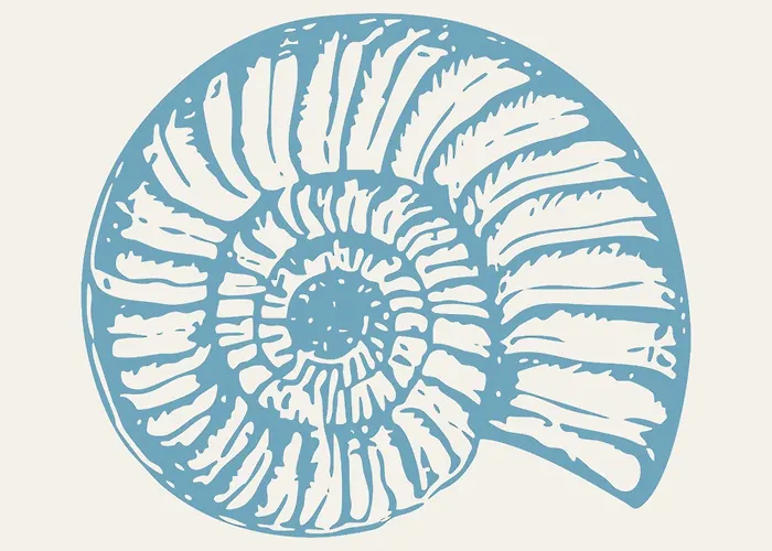 Boli Dhigurah