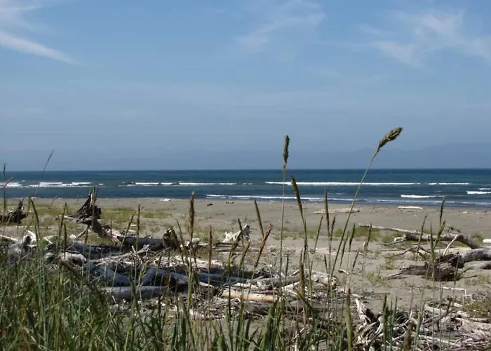 Beach Cabin Pet-Friendly Near Forks & Sekiu