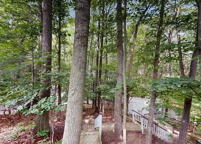 Condo In Glen Arbor With Lake Michigan Sunset Views Fireplace Deck Washer & Dryer