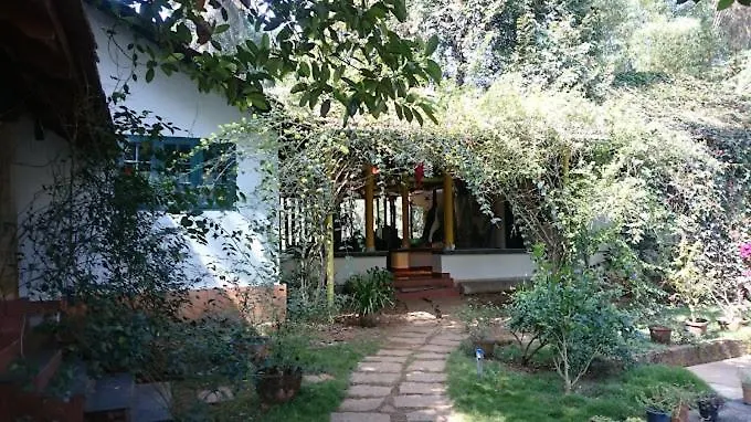 Wayanad Turmerica Premium Pool Resort