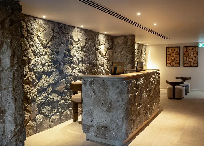 Leonardo Plaza Kinneret