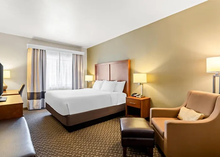 Comfort Inn & Suites Midtown