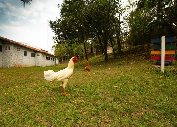 Hotel Fazenda Fonte Colina Verde