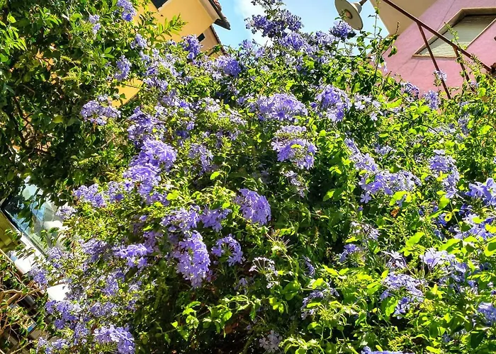 Perla Nera Guesthouse