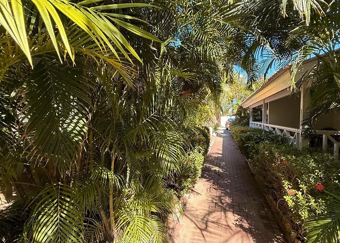 Blue Marlin Apartments, Nabij Mambo Beach
