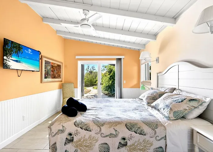 Miles Of Private Beach-4Br Beach Access Cottage With Sups Kyaks-Pets Ok