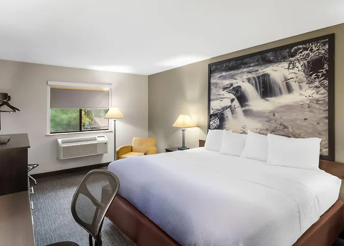 Super 8 By Wyndham Elkins
