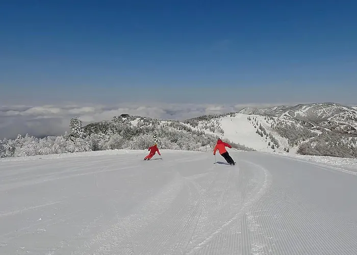 Chalet Shiga