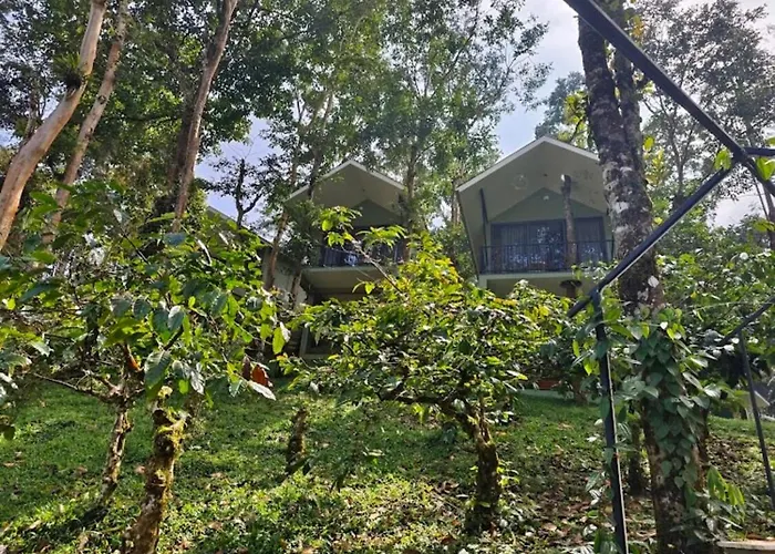 Rillwoods Resort