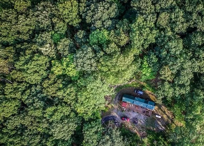 Family Cabin On 6 Acres W/ Lake Access & Hot Tub!
