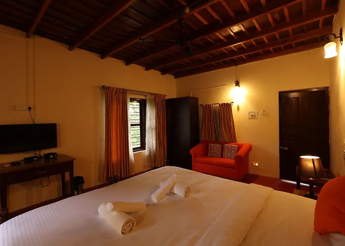 Avadale Coorg - Stag Groups Not Allowed