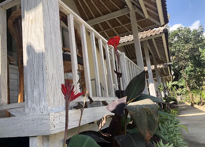 The Lucky Cottage