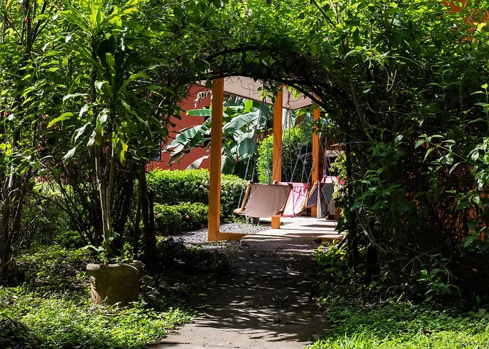 Jungle Lodge At Wild Sun Rescue Center