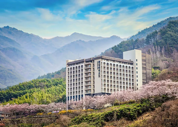 Kensingtonresort Jirisanhadong