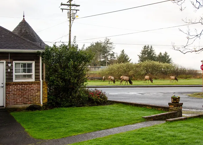 Ecola Creek Lodge