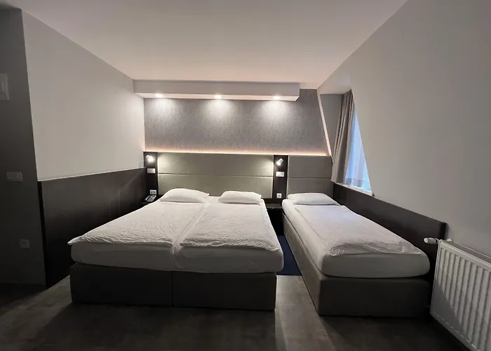 Hotel Alpina