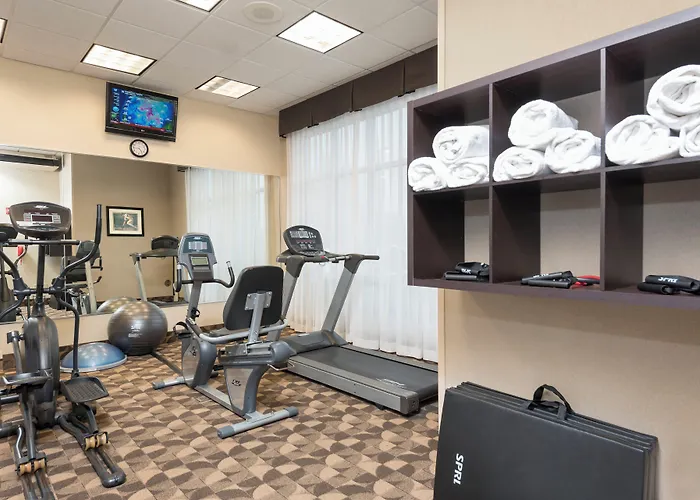 Holiday Inn Aurora North - Naperville By Ihg